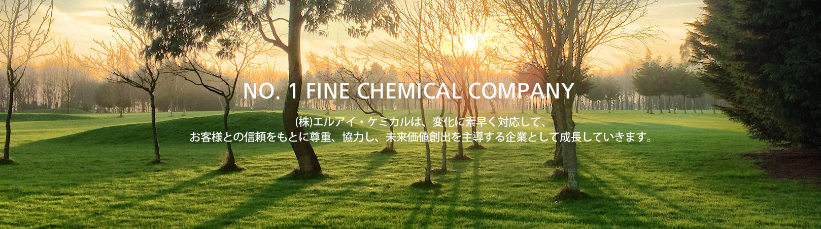 NO. 1 FINE CHEMICAL COMPANY - LI Chemical will be a leader in creating future values by respecting and cooperating with each other on the basis of reliability for customers and quick reaction to changes in the industry.